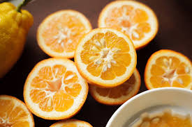 Bitterorange