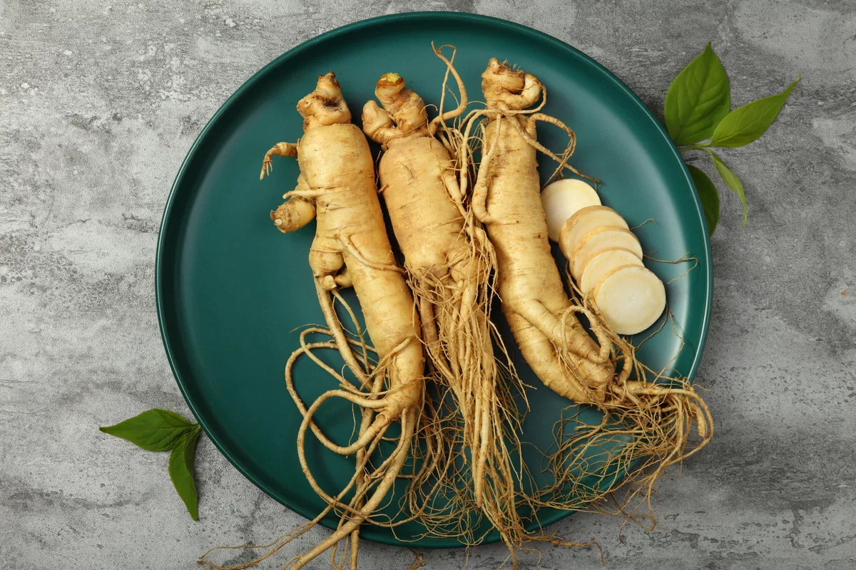 Koreanischer Ginseng